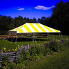 Canopy 20' x 20'