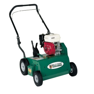 Dethatcher (Power Rake)